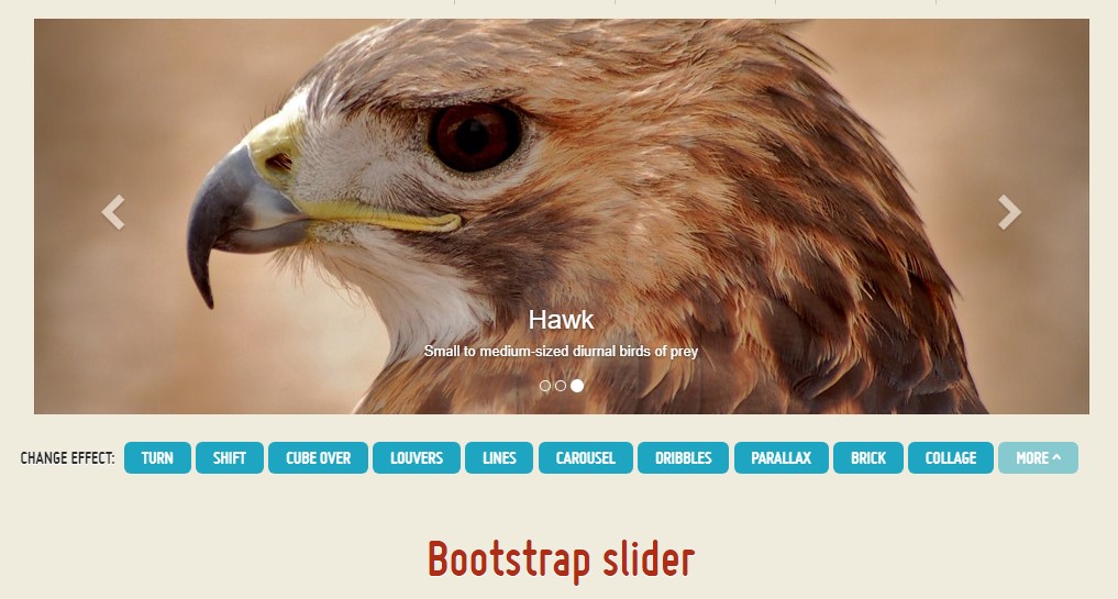  Bootstrap Slider Template 