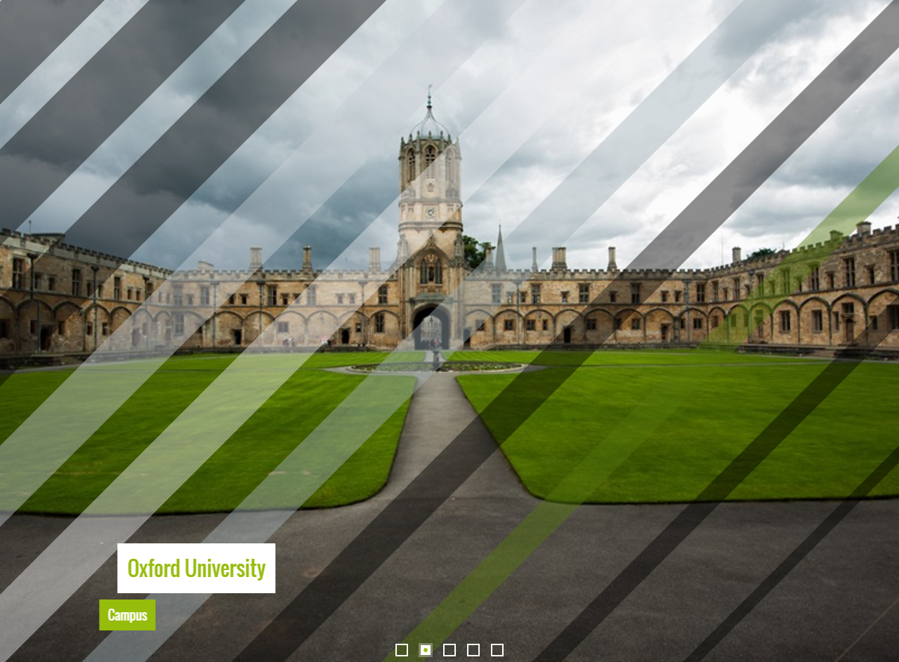 CSS Image Slider