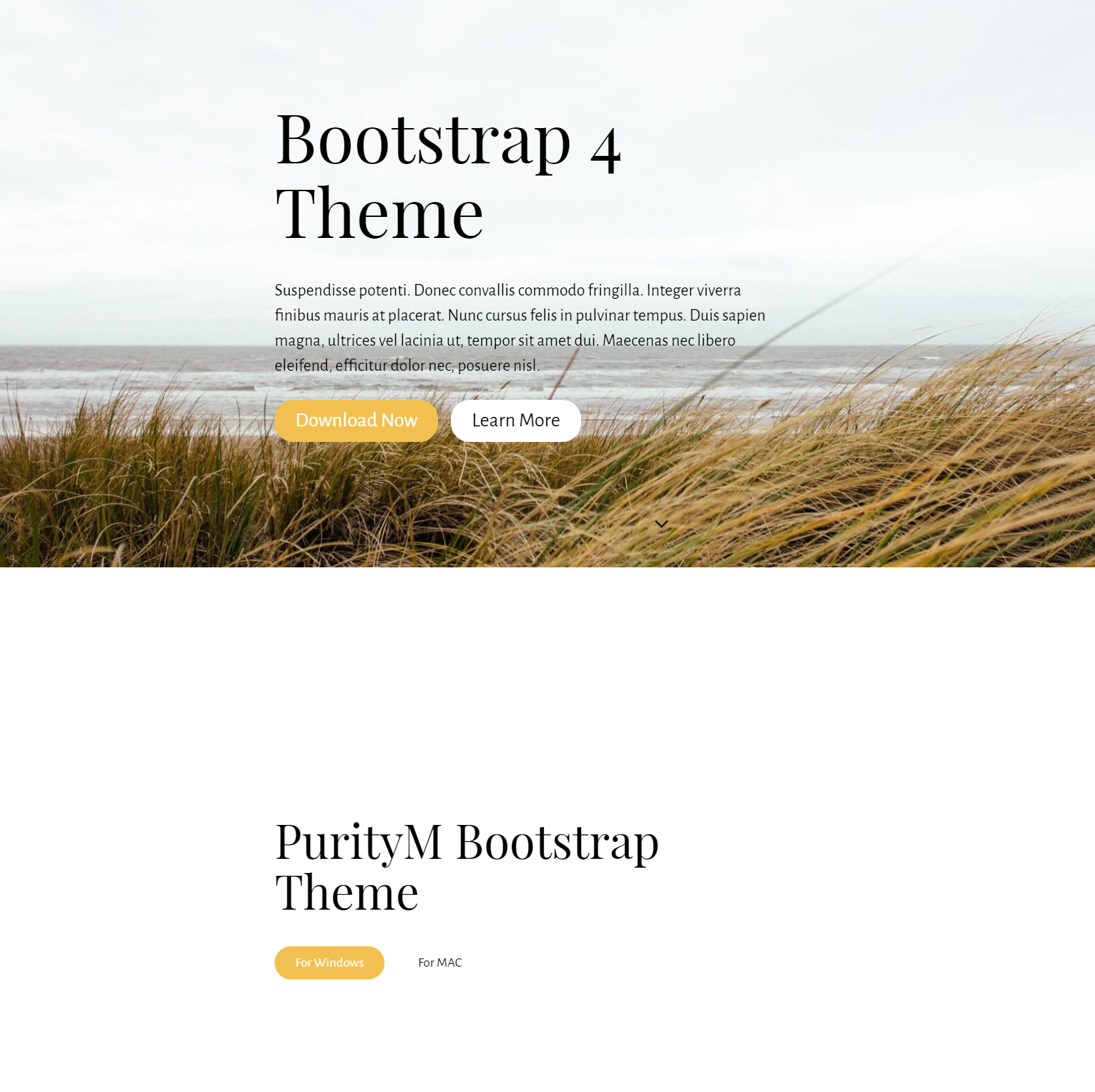 Responsive Bootstrap 4 Themes